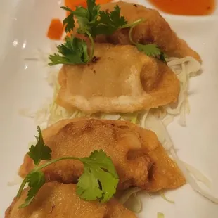 Fried dumplings
