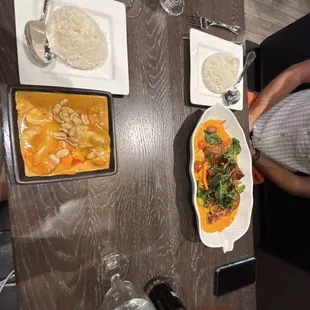 Duck curry and Masaman curry