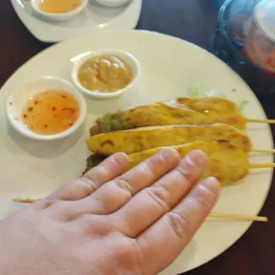 Chicken satay delicious great juicy chicken