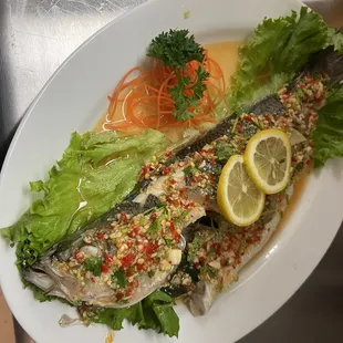 Striped Sea  Bass