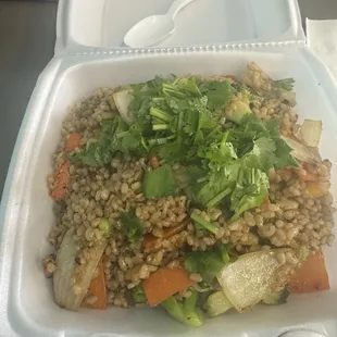 Garlic brown rice with full veggies