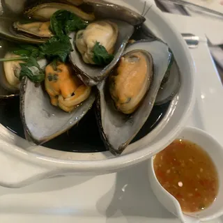 Millionaire Mussel