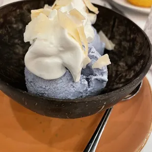 Homemade Coconut Ice Cream