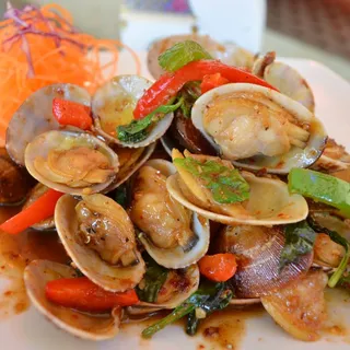 Fond Of Clams