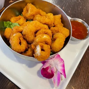 Fried Calamari