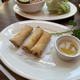 Vegetarian Spring Rolls