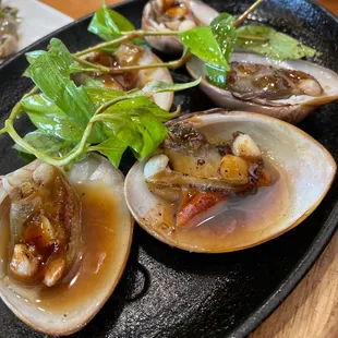 Brown clams