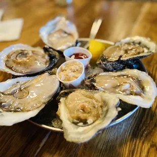 Local Oysters