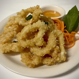 Fried Calamari