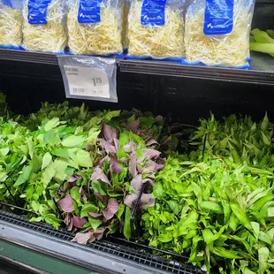 Like their fresh sh herbs