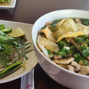 Vietnamese Udon Noodles Soup