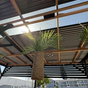 ramen and noodles, outside