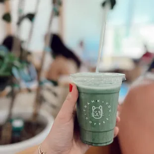 Pandan blue milk latte add matcha