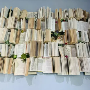 Book wall display