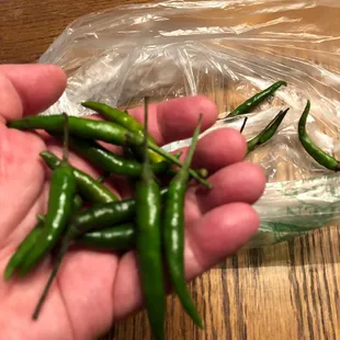 Birds eye chilli. Hot and potent. Perfect.