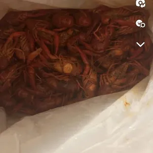 Crawfish