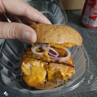 Build You Own Salmon!