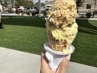 Bruster's Real Ice Cream