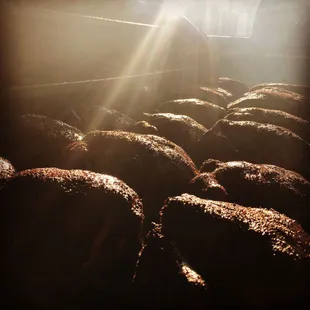 the sun shining through the oven