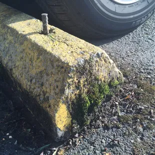 Be careful when parking at Thatcher's!