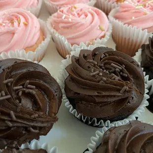 Chocolate and pink champagne cupcakes.