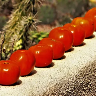 a row of tomatoes on a ledge