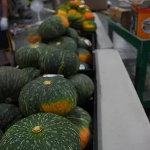 Squash at the old store location,