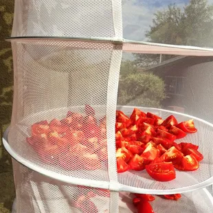 20171004 Market on the Move Tomatoes Drying in the Sun. Apollo Horticulture 2ft 8 Layer Collapsible Mesh Hydroponic Drying Dry Rack Net