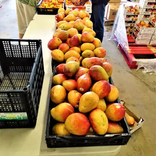 Mango Tango table.