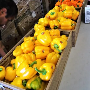 Bell Peppers on Wednesday 9/27/2017