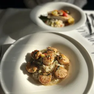 Scallop dish and swordfish dish