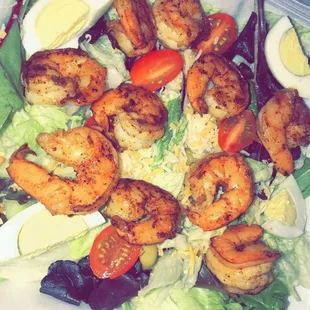 Shrimp Salad-Romaine lettuce, cherry tomatoes, eggs, olives, cucumbers, cheese and croutons on the side.