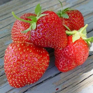 Strawberry F.