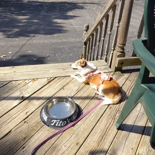 Lunch on the dog friendly deck!!