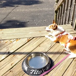 4 paw seal of approval.