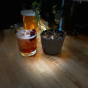 a glass of beer and a potted plant