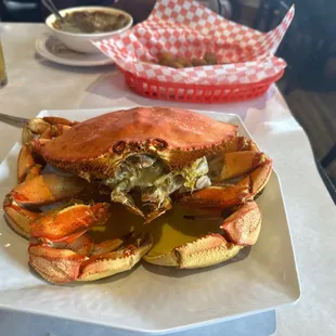 Dungeness Crab