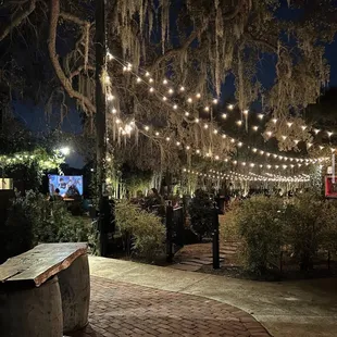 Movie under the stars!