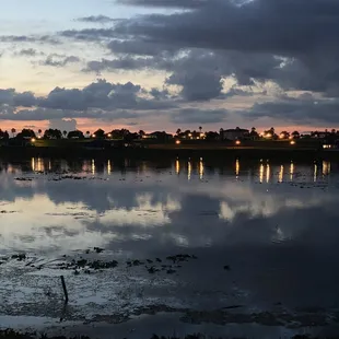 View out back