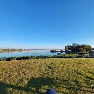 The view from the pool&apos;s green space