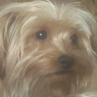 Hank's Dad R.
