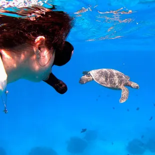 Snorkeling with sea turtles!