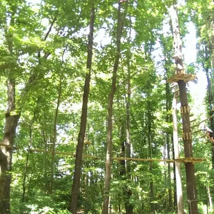 Some of the obstacles are quite high!