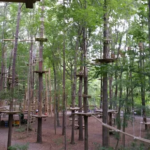 What an awesome day.