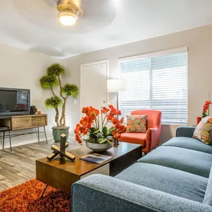 Agave Apartments