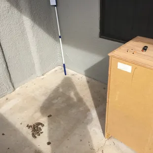 Photo of apartment when First received keys. This is pre-move in.