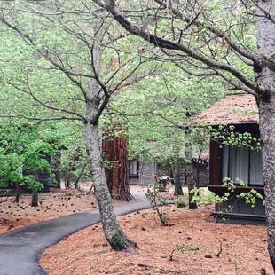 Beautiful cottages