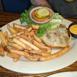 Turkey burger w fries