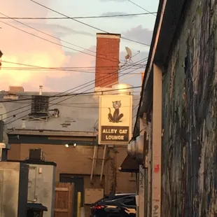 Just past The Alley Cat alley