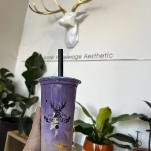 Ube brown sugar creme brûlée